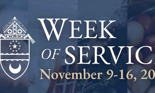 Diocesan Week of Service